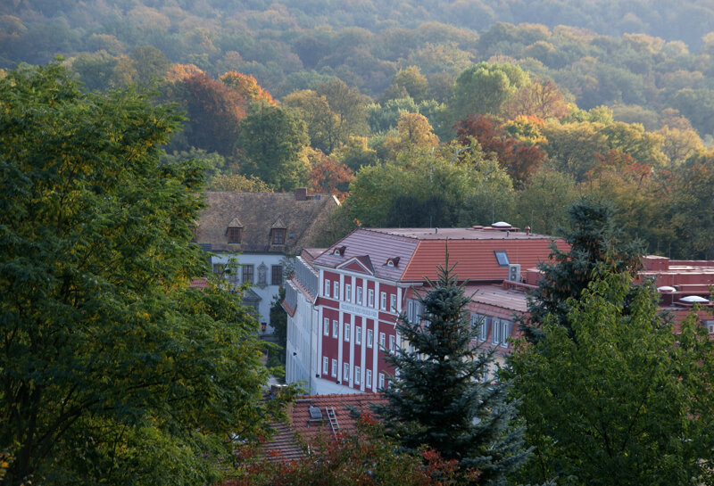 Kulturhotel Fürst Pückler Park Bad Muskau